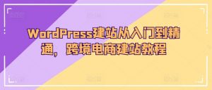 WordPress建站从入门到精通,跨境电商建站教程-林文副业站