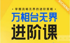 电商万相台无界进阶课,掌握流畅无界的进阶策略-林文副业站