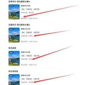 磁力聚星游戏副业陪跑训练营1.0,长期稳定项目,有人一周干了1K+-林文副业站