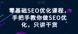 零基础SEO优化课程,手把手教你做SEO优化,只讲干货-林文副业站