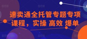速卖通全托管专题专项课程，实操 高效 爆单-林文副业站