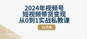 2024年视频号短视频带货变现从0到1实战私教课(31节视频课)-林文副业站
