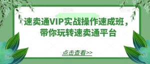 速卖通VIP实战操作速成班,带你玩转速卖通平台-林文副业站