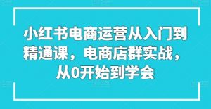 小红书电商运营从入门到精通课，电商店群实战，从0开始到学会-林文副业站