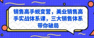 销售高手蜕变营,美业销售高手实战体系课,三大销售体系带你破局-林文副业站