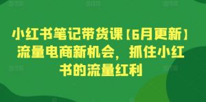 小红书笔记带货课【6月更新】流量电商新机会，抓住小红书的流量红利-林文副业站