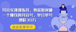 抖音实训训练营,教你如何做一个赚钱的抖音号,单日单号增粉30万-林文副业站