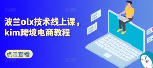 波兰olx技术线上课，kim跨境电商教程-林文副业站