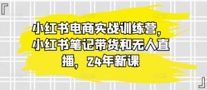 小红书电商实战训练营,小红书笔记带货和无人直播,24年新课-林文副业站