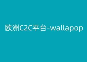 欧洲C2C平台-wallapop-kim跨境电商教程-林文副业站