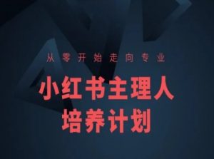 小红书课程简化版,从零开始走向专业,小红书主理人培养计划-林文副业站