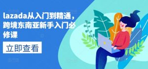 lazada从入门到精通，跨境东南亚新手入门必修课-林文副业站
