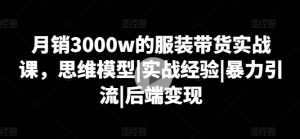 月销3000w的服装带货实战课，思维模型|实战经验|暴力引流|后端变现-林文副业站