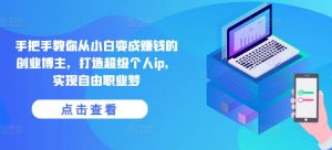 手把手教你从小白变成赚钱的创业博主，打造超级个人ip，实现自由职业梦-林文副业站