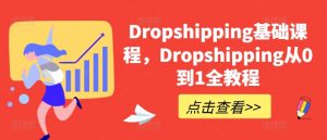 Dropshipping基础课程，Dropshipping从0到1全教程-林文副业站
