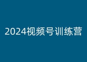 2024视频号训练营，视频号变现教程-林文副业站