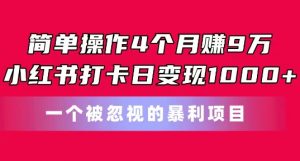 简单操作4个月赚9w，小红书打卡日变现1k，一个被忽视的暴力项目【揭秘】-林文副业站