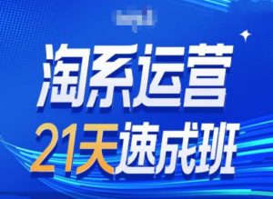 淘系运营24天速成班第28期最新万相台无界带免费流量-林文副业站