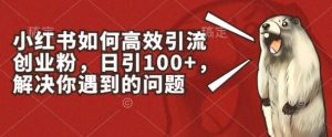 小红书如何高效引流创业粉，日引100+，解决你遇到的问题【揭秘】-林文副业站
