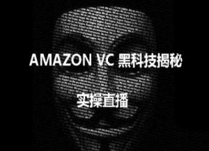 实操:AMAZON VC害人黑科技揭秘,跨境亚马逊教程-林文副业站