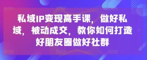 私域IP变现高手课,做好私域,被动成交,教你如何打造好朋友圈做好社群-林文副业站