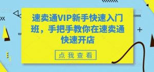 速卖通VIP新手快速入门班,手把手教你在速卖通快速开店-林文副业站