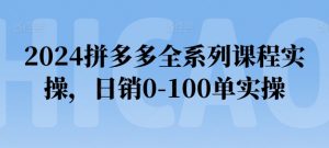 2024拼多多全系列课程实操，日销0-100单实操【必看】-林文副业站