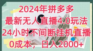 2024年拼多多最新无人直播4.0玩法,24小时不间断挂机直播,0成本,日入2k【揭秘】-林文副业站