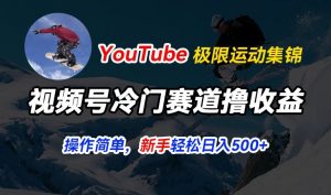 视频号冷门赛道撸收益，YouTube搬运极限运动集锦，暴力起号，操作简单流量高，轻松日入5张【揭秘】-林文副业站