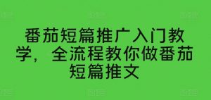 番茄短篇推广入门教学，全流程教你做番茄短篇推文-林文副业站
