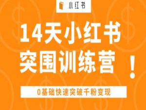 14天小红书突围训练营 ,0基础快速突破千粉变现-林文副业站