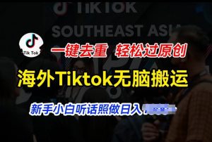 海外Tiktok短视频无脑搬运,一键去重轻松过原创,新手小白听话照做日入几张【揭秘】-林文副业站