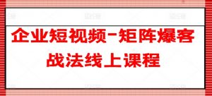 企业短视频-矩阵爆客战法线上课程-林文副业站