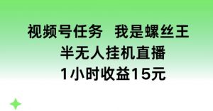 视频号任务，我是螺丝王， 半无人挂机1小时收益15元【揭秘】-林文副业站