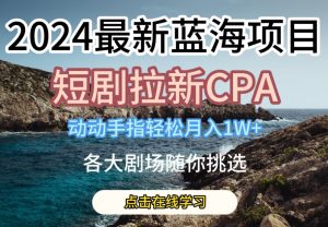 2024最新蓝海项日,短剧拉新CPA,动动手指轻松月入1W,全各大剧场随你挑选【揭秘】-林文副业站