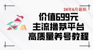 6月最新价值699的主流撸茅台平台精品养号下车攻略【揭秘】-林文副业站
