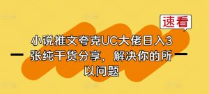 小说推文夸克UC大佬日入3张纯干货分享，解决你的所以问题-林文副业站