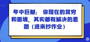 某付费文章:年中巨献: 你现在的贫穷和困境,其实都有解决的思路 (进来抄作业)-林文副业站