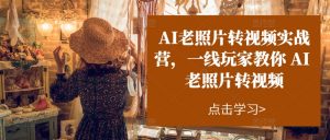AI老照片转视频实战营,一线玩家教你AI老照片转视频-林文副业站