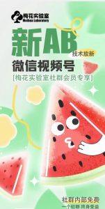 梅花实验室2024年AB技术视频号AB合成破解版-林文副业站