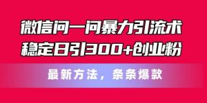微信问一问暴力引流术,稳定日引300+创业粉,最新方法,条条爆款【揭秘】-林文副业站