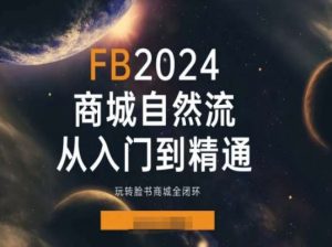 2024Faceboo商城自然流(从入门到精通),玩转脸书商城全闭环-林文副业站