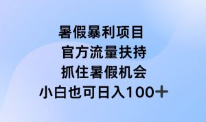 暑假暴利直播项目，官方流量扶持，把握暑假机会【揭秘】-林文副业站
