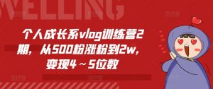 个人成长系vlog训练营2期，从500粉涨粉到2w，变现4～5位数-林文副业站