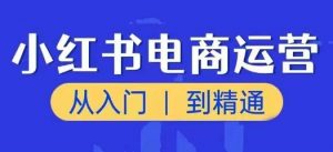 小红书电商运营课,从入门到精通,带你抓住又一个赚钱风口-林文副业站
