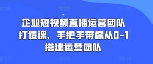 企业短视频直播运营团队打造课，手把手带你从0-1搭建运营团队-林文副业站
