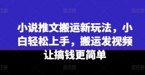 小说推文搬运新玩法，小白轻松上手，搬运发视频让搞钱更简单-林文副业站