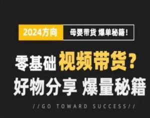 短视频母婴赛道实操流量训练营,零基础视频带货,好物分享,爆量秘籍-林文副业站
