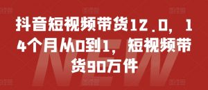 抖音短视频带货12.0，14个月从0到1，短视频带货90万件-林文副业站
