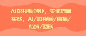 AI短视频创业,实体流量实战,AI/短视频/直播/私域/团队-林文副业站